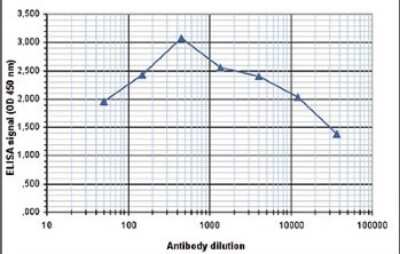 ELISA: Histone H2a [ac Lys5] Antibody [NBP2-59261]